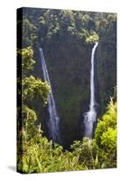 Tad Fane Waterfall, This Is the Tallest Waterfall in Laos. Bolaven Plateau, Laos-Micah Wright-Stretched Canvas