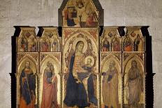 Madonna and Child Enthroned with St James, St Luke the Evangelist, St Peter and John Baptist, 1350-Taddeo Gaddi-Framed Giclee Print