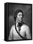 Tadeusz Kosciuszko, Polish Soldier and Patriot-null-Framed Stretched Canvas