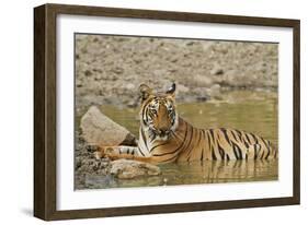 Tadoba Andheri Tiger Reserve, India-Jagdeep Rajput-Framed Photographic Print