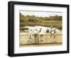 Tadpoles-Betsy Cameron-Framed Art Print