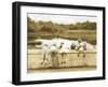 Tadpoles-Betsy Cameron-Framed Art Print