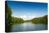 Taevaskoda Nature Reserve, Ahja River, Polva County, Estonia, Baltic States, Europe-Nico Tondini-Stretched Canvas