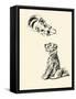 Taffy Has A Bone-Lucy Dawson-Framed Stretched Canvas