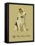 Taffy The Wire Haired Terrier-Lucy Dawson-Framed Stretched Canvas