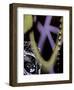 Tag Face-Jenny Kraft-Framed Art Print