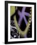 Tag Face-Jenny Kraft-Framed Art Print