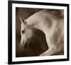 Tag Impression-Barry Hart-Framed Art Print