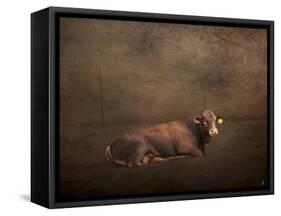 Tag Number 1108-Jai Johnson-Framed Stretched Canvas