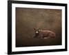 Tag Number 1121-Jai Johnson-Framed Giclee Print