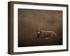 Tag Number 1121-Jai Johnson-Framed Giclee Print