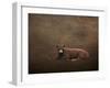 Tag Number 1121-Jai Johnson-Framed Giclee Print