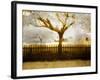 Tagbean-Craig Satterlee-Framed Photographic Print