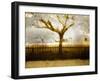 Tagbean-Craig Satterlee-Framed Photographic Print