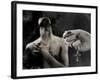 Tagbuzz-Fabio Panichi-Framed Photographic Print