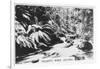 Taggerty River, Victoria, Australia, 1928-null-Framed Giclee Print