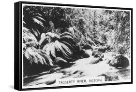 Taggerty River, Victoria, Australia, 1928-null-Framed Stretched Canvas