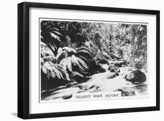 Taggerty River, Victoria, Australia, 1928-null-Framed Giclee Print