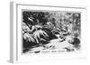 Taggerty River, Victoria, Australia, 1928-null-Framed Giclee Print