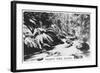 Taggerty River, Victoria, Australia, 1928-null-Framed Giclee Print