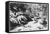 Taggerty River, Victoria, Australia, 1928-null-Framed Stretched Canvas