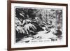 Taggerty River, Victoria, Australia, 1928-null-Framed Giclee Print