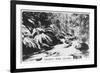 Taggerty River, Victoria, Australia, 1928-null-Framed Giclee Print