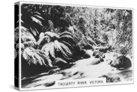Taggerty River, Victoria, Australia, 1928-null-Stretched Canvas