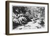 Taggerty River, Victoria, Australia, 1928-null-Framed Premium Giclee Print