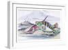 Tagos Goldsinny and Trumpet Fish-Robert Hamilton-Framed Art Print