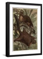 Taguan by Alfred Edmund Brehm-Stefano Bianchetti-Framed Giclee Print