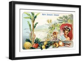 Tahiti, from a Series of Collecting Cards Depicting the Colonial Domain of France, C. 1910-null-Framed Giclee Print