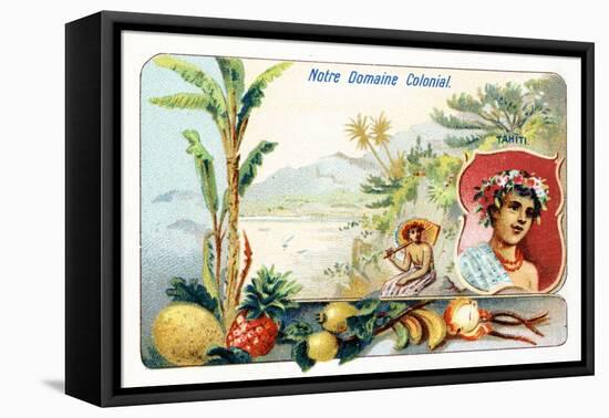 Tahiti, from a Series of Collecting Cards Depicting the Colonial Domain of France, C. 1910-null-Framed Stretched Canvas