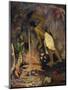 Tahiti, Painting of Papa Moe or Tahitian Woman Drinking at a Spring-null-Mounted Giclee Print