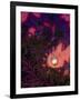 Tahitian Sunset-Tina Lavoie-Framed Giclee Print