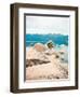 Tahoe Dreams-Sonja Quintero-Framed Photographic Print