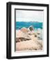 Tahoe Dreams-Sonja Quintero-Framed Photographic Print