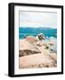 Tahoe Dreams-Sonja Quintero-Framed Photographic Print