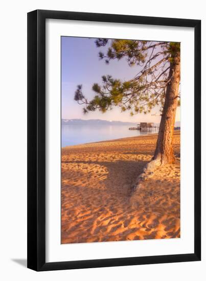 Tahoe Lake Tree-Vincent James-Framed Photographic Print