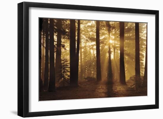 Tahoe Smoky Sunrise-Mike Jones-Framed Giclee Print
