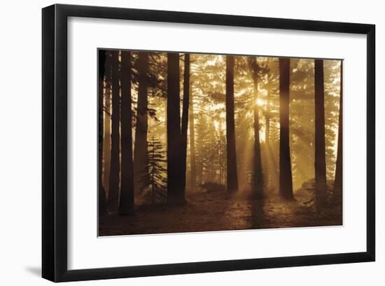 Tahoe Smoky Sunrise-Mike Jones-Framed Giclee Print