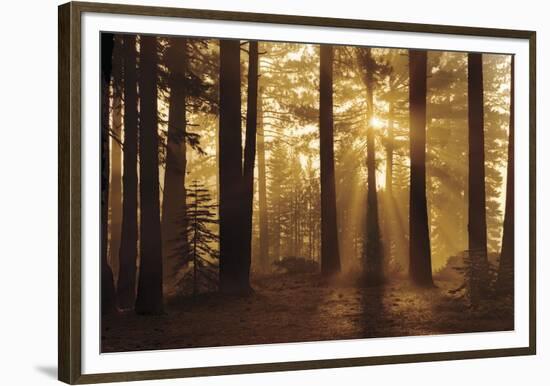 Tahoe Smoky Sunrise-Mike Jones-Framed Giclee Print