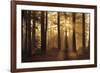 Tahoe Smoky Sunrise-Mike Jones-Framed Giclee Print