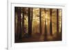 Tahoe Smoky Sunrise-Mike Jones-Framed Giclee Print