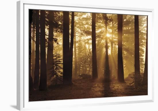 Tahoe Smoky Sunrise-Mike Jones-Framed Giclee Print