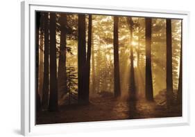 Tahoe Smoky Sunrise-Mike Jones-Framed Giclee Print