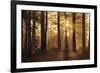 Tahoe Smoky Sunrise-Mike Jones-Framed Giclee Print