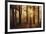 Tahoe Smoky Sunrise-Mike Jones-Framed Giclee Print