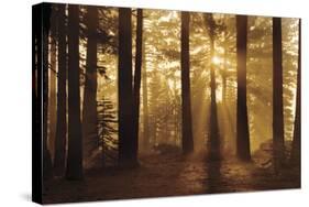 Tahoe Smoky Sunrise-Mike Jones-Stretched Canvas