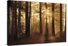 Tahoe Smoky Sunrise-Mike Jones-Stretched Canvas